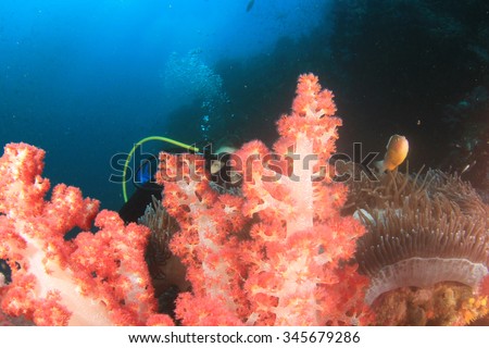 Young Woman Scuba diver finds Nemo: Anemonefish clownfish on underwater coral reef