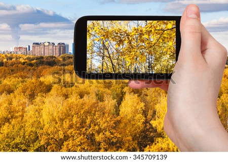 season concept - man taking photo of yellow trees in autumn forest on smartphone