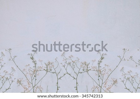 wall background and branches with a little flower, vintage style and pastel color