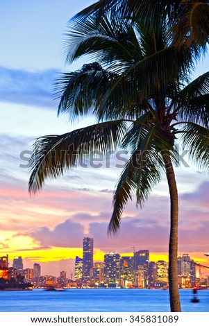 Beautiful sunset over  Downtown and the Port of Miami Florida, beautiful colorful sunset with silhouettes of palm trees