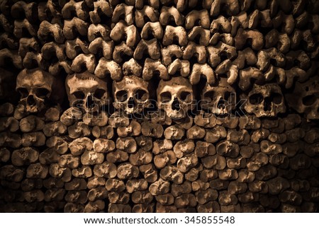 Skulls and bones in Paris Catacombs
