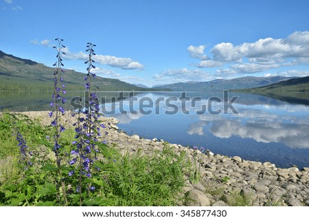 Morning on the lake. Summer landscape of the Northern lakes on the Putorana plateau in Russia.