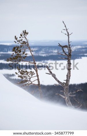White snow and rocks on arctic hill landscape background
