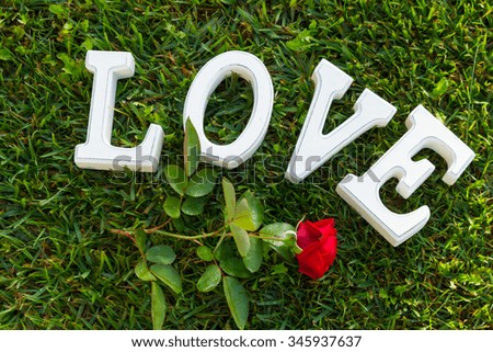 Love sign with red rose on green grass 