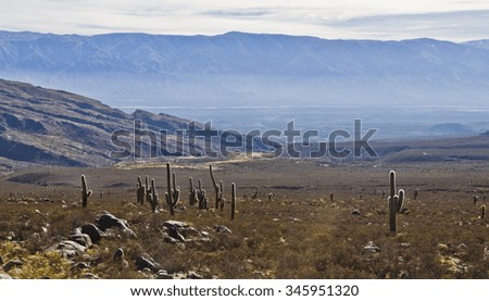 Patagonia desert, in Santa Cruz, Argentina Royalty-Free Stock Photo #345951320