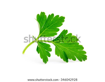 parsley isolated on white Royalty-Free Stock Photo #346042928