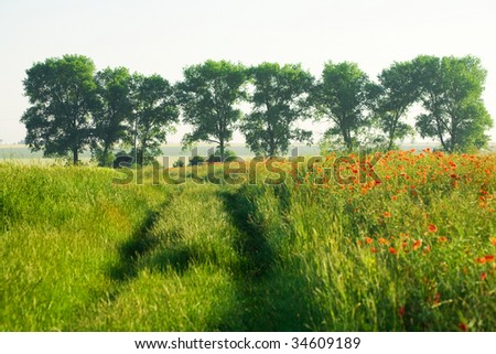 An image of a beautiful picture of a field and trees