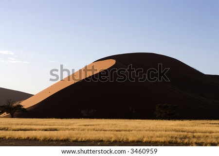 Sand dune, desert from Namibia