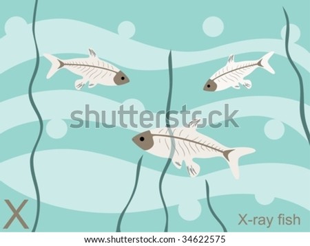 Animal alphabet flash card, X for x-ray fish