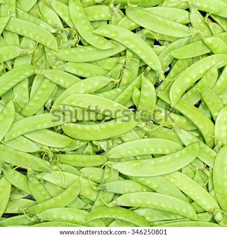 green background of young green peas 