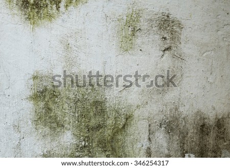 Wall with green stains and dirt on the surface