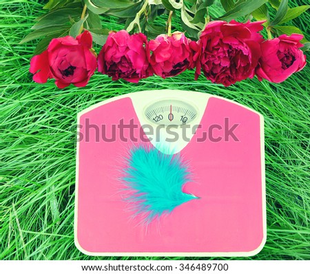 Feather on scales on green grass.  Losing weight for the summer