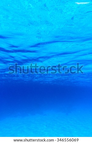 underwater scene with copy space