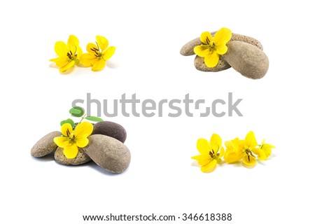 Group of closeup stone and yellow flower isolated on white background