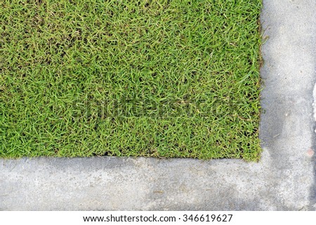 Grass and cement floor abstract background