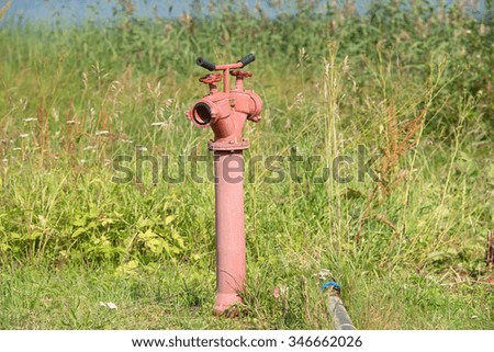 Bright red fire hydrant on the background of green grass