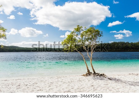 Beautiful pure Lake McKenzie, Fraser Island, Australia Royalty-Free Stock Photo #346695623