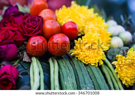 Variety of  fruit  vegetable