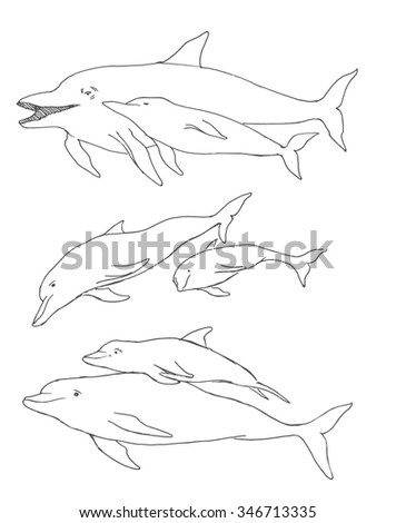 Dolphin set hand drawn