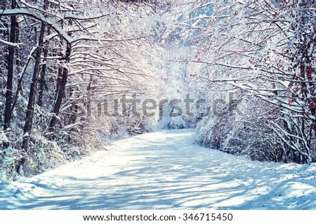 Scenic winter road through forest covered in snow after snowfall Royalty-Free Stock Photo #346715450