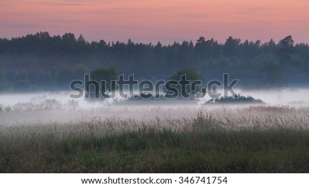 Foggy fields in twilight