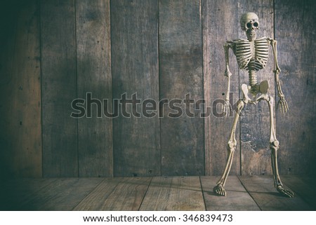 Human Skeleton on wooden 