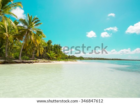 Saona Island, Punta Cana, Dominican Republic