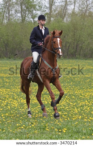 Equestrian girl