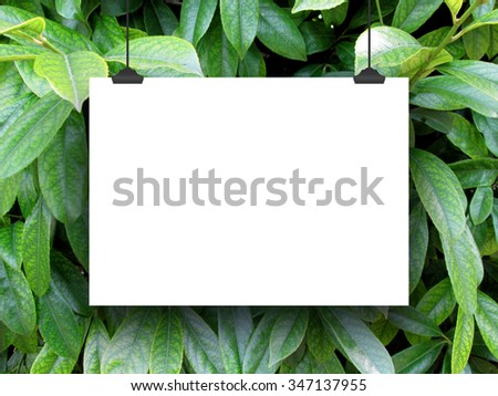 One hanged horizontal paper sheet frame with clips on green leaves background
