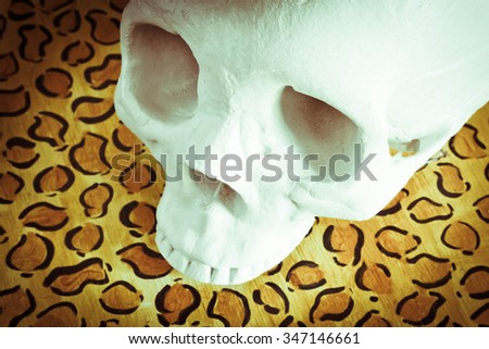 Cool human skull against leopard print background