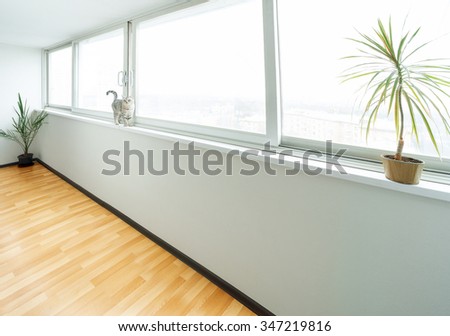 window in sitting room Royalty-Free Stock Photo #347219816