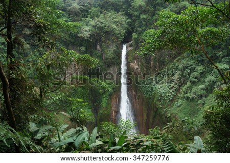 La Fortuna Waterfall in a forest, Alajuela Province, Costa Rica Royalty-Free Stock Photo #347259776