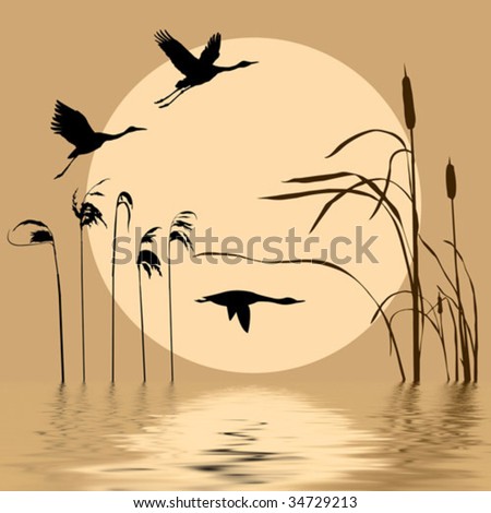 vector  drawing flying birds on background sun