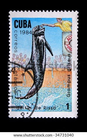 CUBA - CIRCA 1984: A stamp printed by Cuba shows a "delfin de Riso".