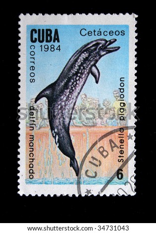 CUBA - CIRCA 1984: A stamp printed by Cuba shows "delfin Manchado".