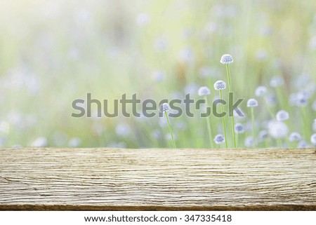 Outdoor Wooden table with flower view