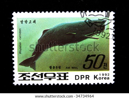 DPR KOREA - CIRCA 1992: A stamp printed by DPR KOREA (North Korea) shows the whale "Balaenoptere physalus", stamp is from the series "Whales" circa 1992.