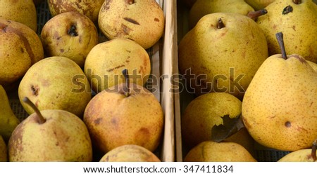 Picture of a Ripe pears for sale on a  farmer`s market