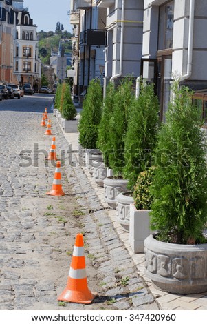 Alley with trees in pots in an old residential area of the city along the sidewalk