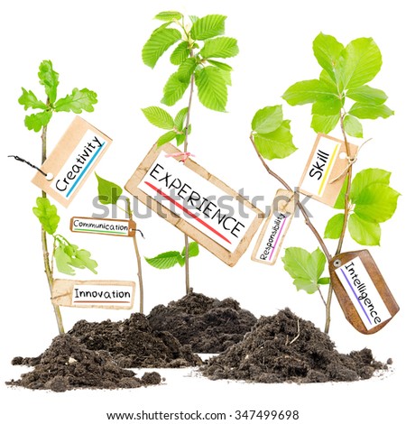 Photo of plants growing from soil heaps holding paper tags with conceptual words