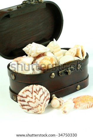 Treasure chest with cockleshells isolated on white background.