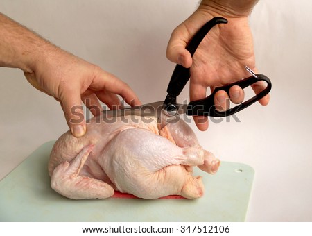 Scissors special for cutting of chicken and other bird Royalty-Free Stock Photo #347512106