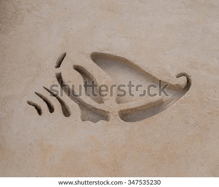 Picture of a Seashell Drawn in the Sand at Fort Myers Beach Florida