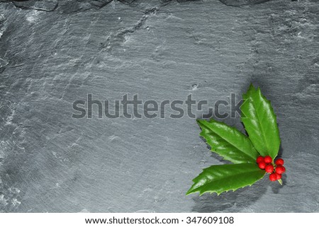 Holly with berries on dark stone background