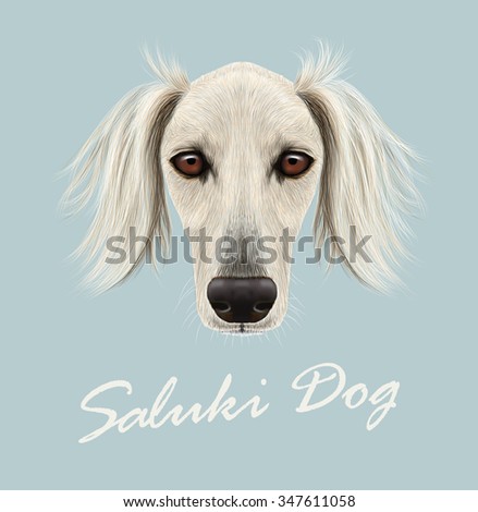 Saluki dog animal cute face. Vector cute white Persian Greyhound puppy head portrait. Realistic fur portrait of purebred young hunter  Saluki hound doggie isolated on blue background.