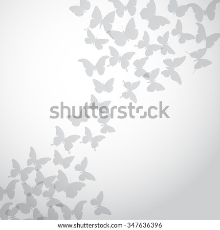 Abstract gray Butterfly Background on white background. 