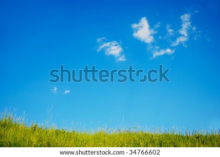 Beautiful adorable green meadow against the blue sky