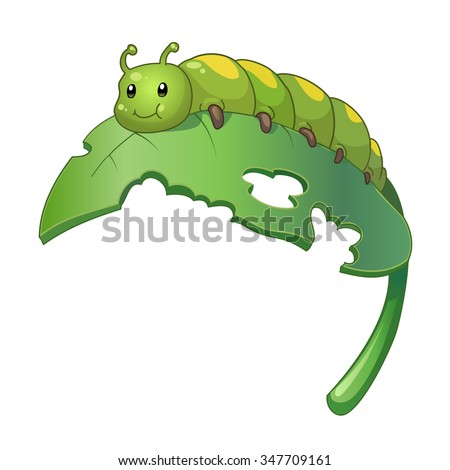 Green cute caterpillar on leaf. Vector cartoon illustration of caterpillar isolated on white