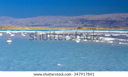 Beautiful photo coast of the Dead Sea , Israel . Bokeh . 