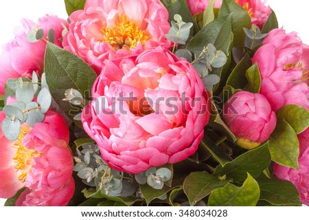 Amazing bouquet of pink pions closeup